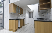 Welsh Newton Common kitchen extension leads